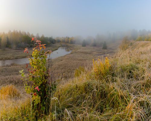 первый заморозок