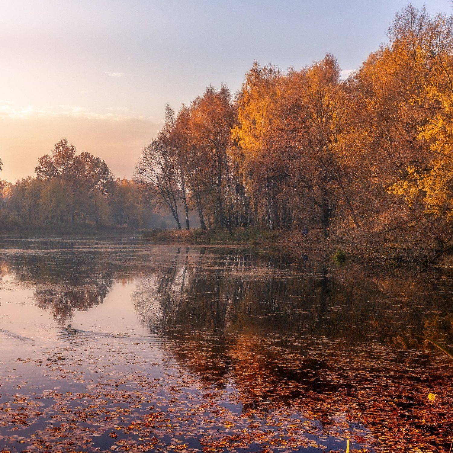 природа, пейзаж, осень, подольск, Мартыненко Дмитрий