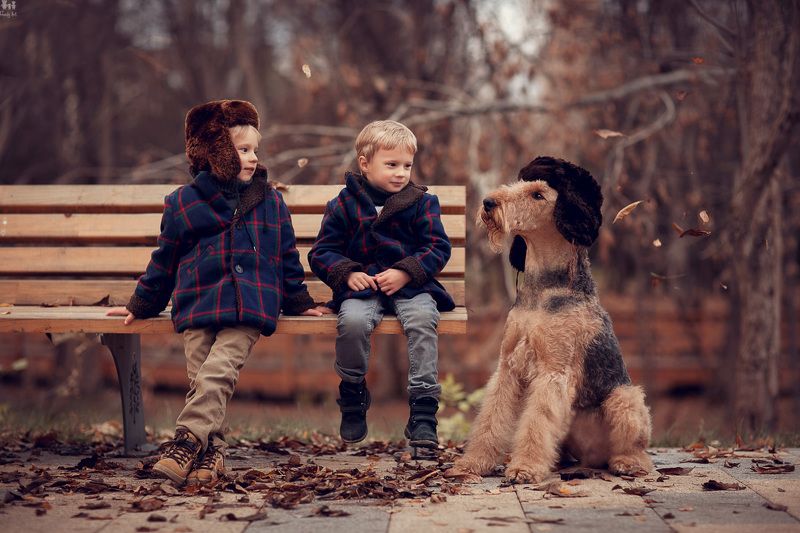 Электроники фото превью