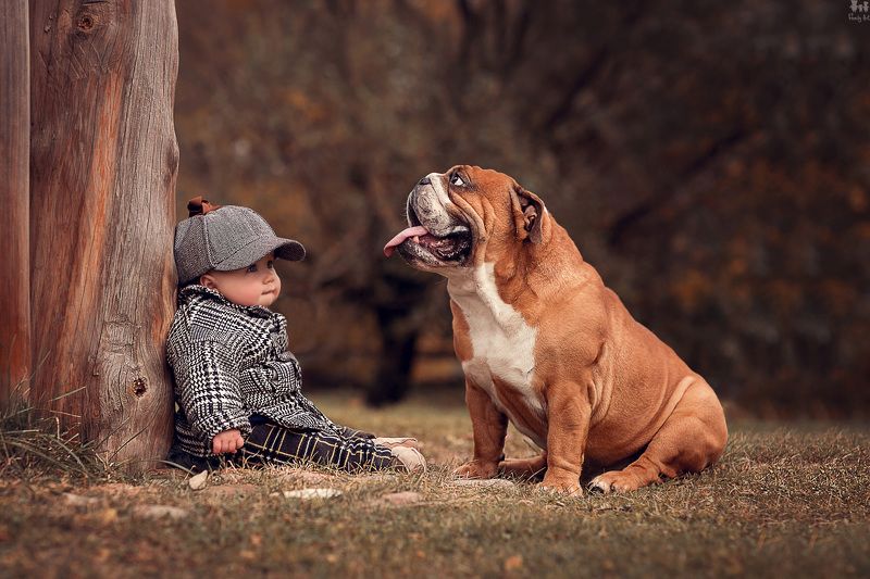 Маленькие Шерлоки фото превью
