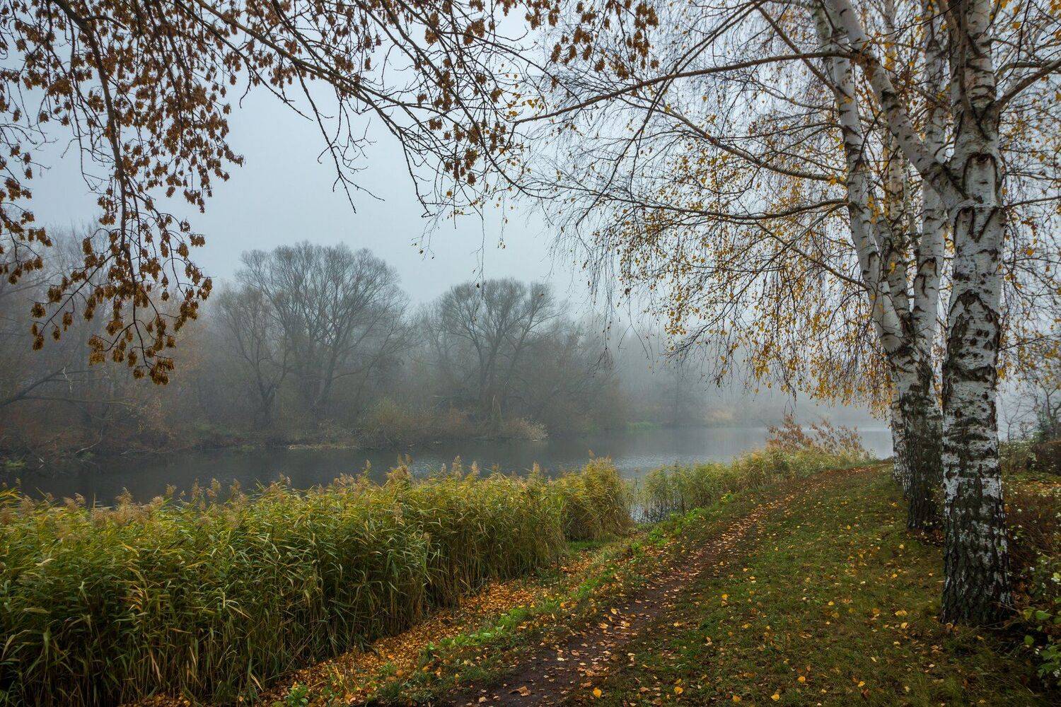 , Руслан Востриков