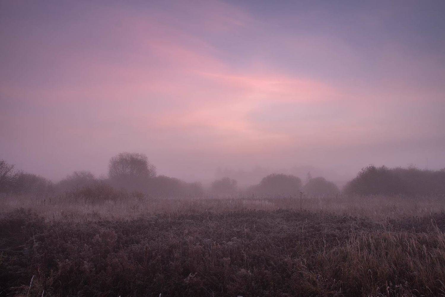 , Александр