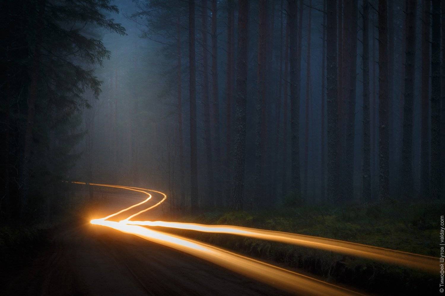 валдай, Тимофей Шутов