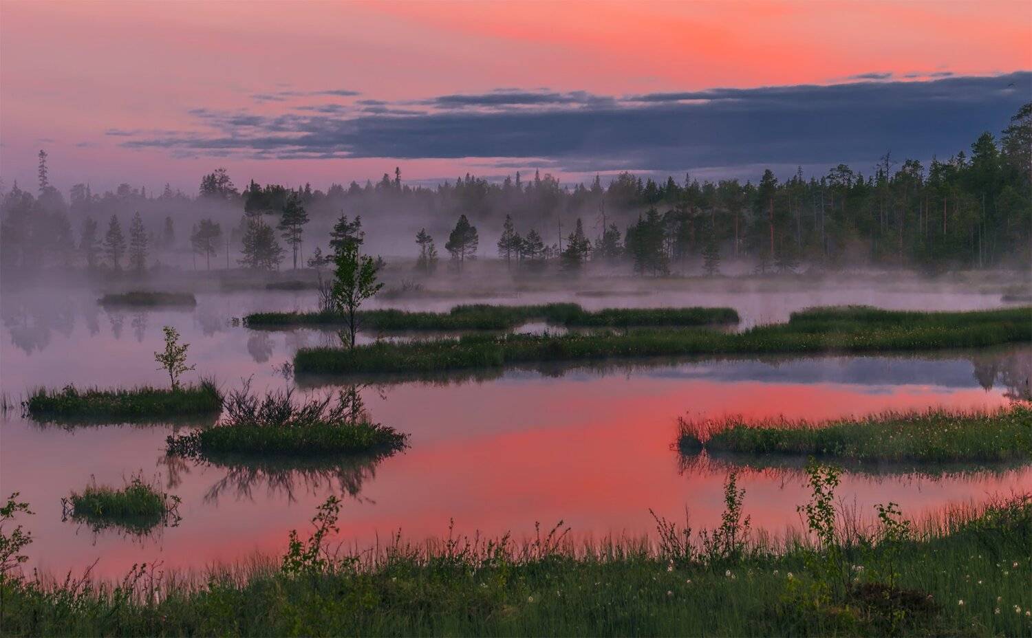 природа, пейзаж, карелия, панорама, утро, восход, рассвет, болото, туман, остров,, Альберт Беляев