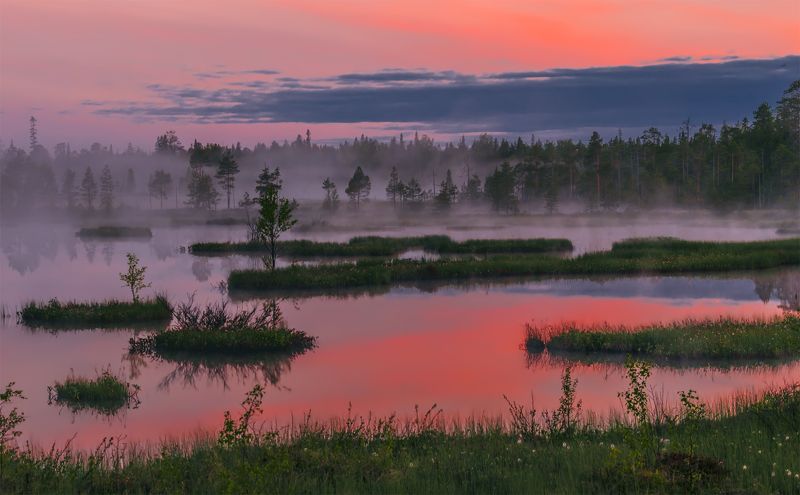 природа, пейзаж, карелия, панорама, утро, восход, рассвет, болото, туман, остров, * фото превью