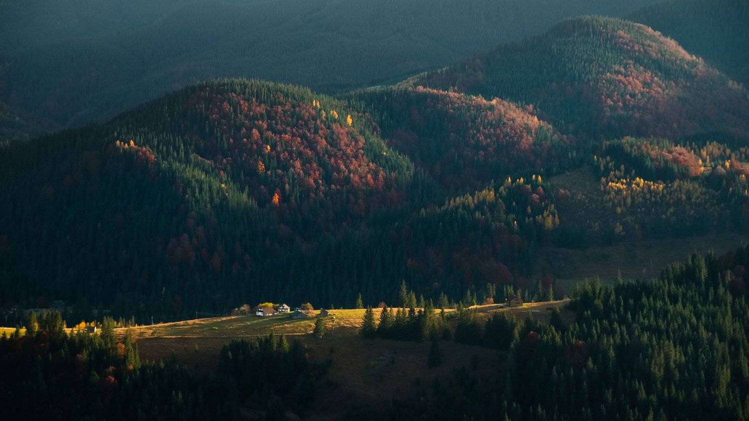 landscape, mountain, dark, valley, forest, sunset, nature, big, spot, light, Carpathian, panorama, summer, beautiful, breathtaking, hill, dusk, morning, sunrise, green, grass, dale, fir, tree, sky, cloud, evening, sunshine, beauty, wallpaper, background, , Dmytro Gilitukha