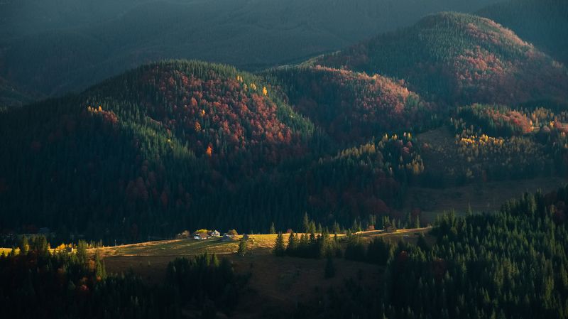 landscape, mountain, dark, valley, forest, sunset, nature, big, spot, light, Carpathian, panorama, summer, beautiful, breathtaking, hill, dusk, morning, sunrise, green, grass, dale, fir, tree, sky, cloud, evening, sunshine, beauty, wallpaper, background,  Dark shadow mountain landscape with light valley at sunset фото превью