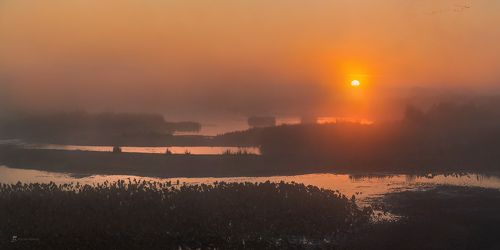 Осенний туманный рассвет над дельтой