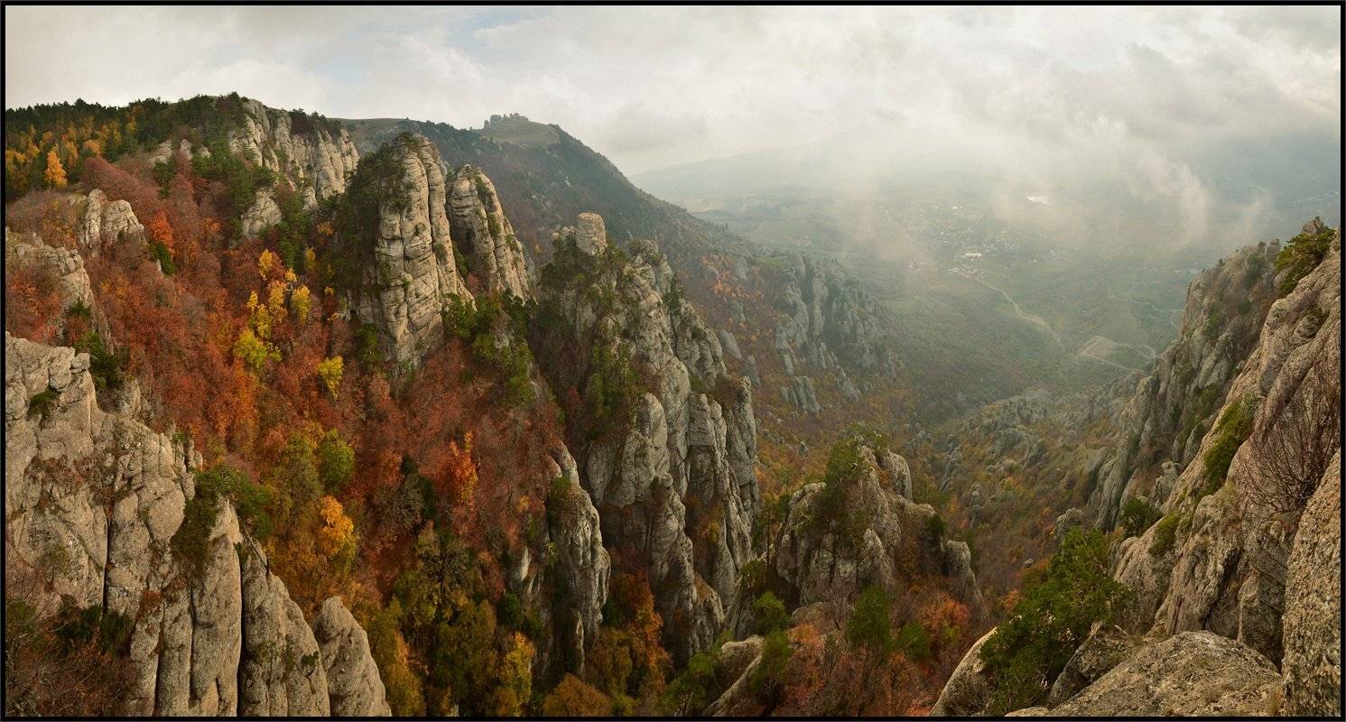 , Владимир Метцгер