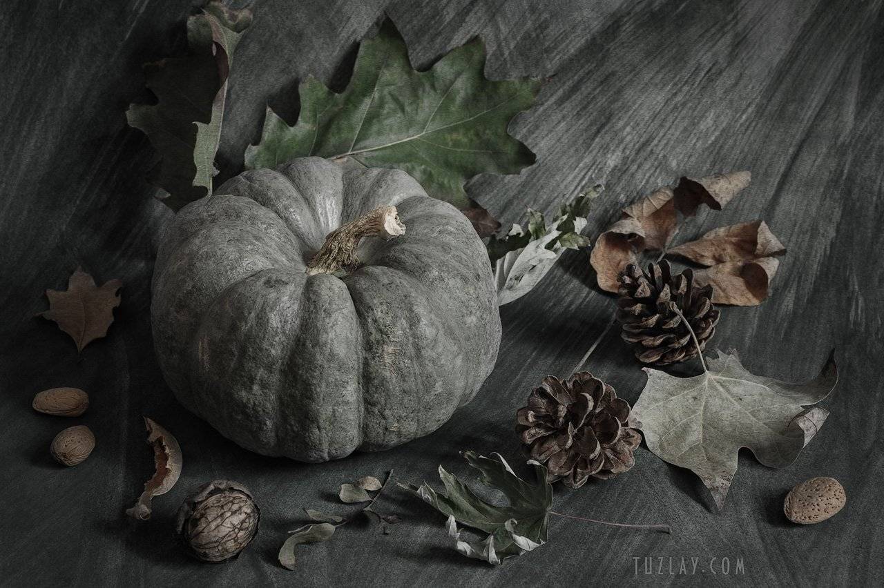 тыква, шишки, орехи, Владимир Тузлай