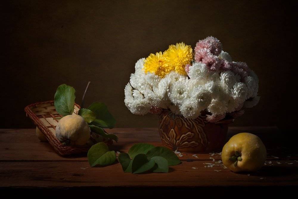 , Анжелика Королева