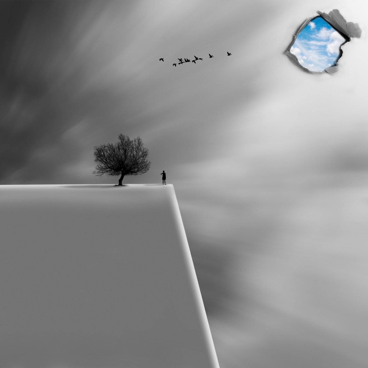 #35photo #surrealart#photoshop#ps_fantasy#art_minimal #bnw_dream #photography#minimalism#conceptual#fineart #instagram#ps_dreams#bnwminimalismmag#art_digital #ir_photographer#ir_aks#minimal#canon#blackandwhite#bnw#surreal#hadimalijani#art#fantastic_earth#, Hadi Malijani