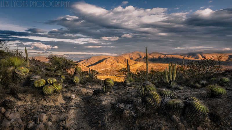 A Glimpse of Sierra Mixteca фото превью