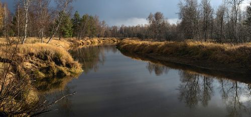 Pro мимолётную улыбку осени