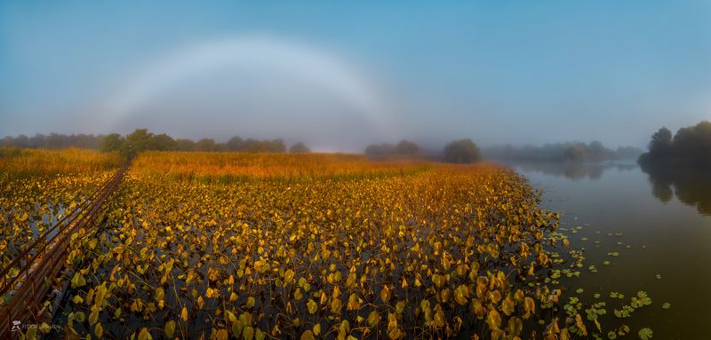 Туманная радуга над осенним полем лотосов фото превью