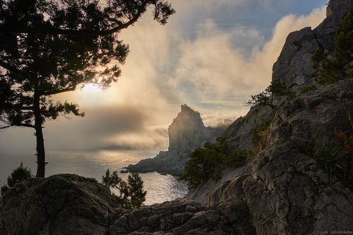 Морской туман на закате