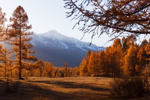 Золотой закат