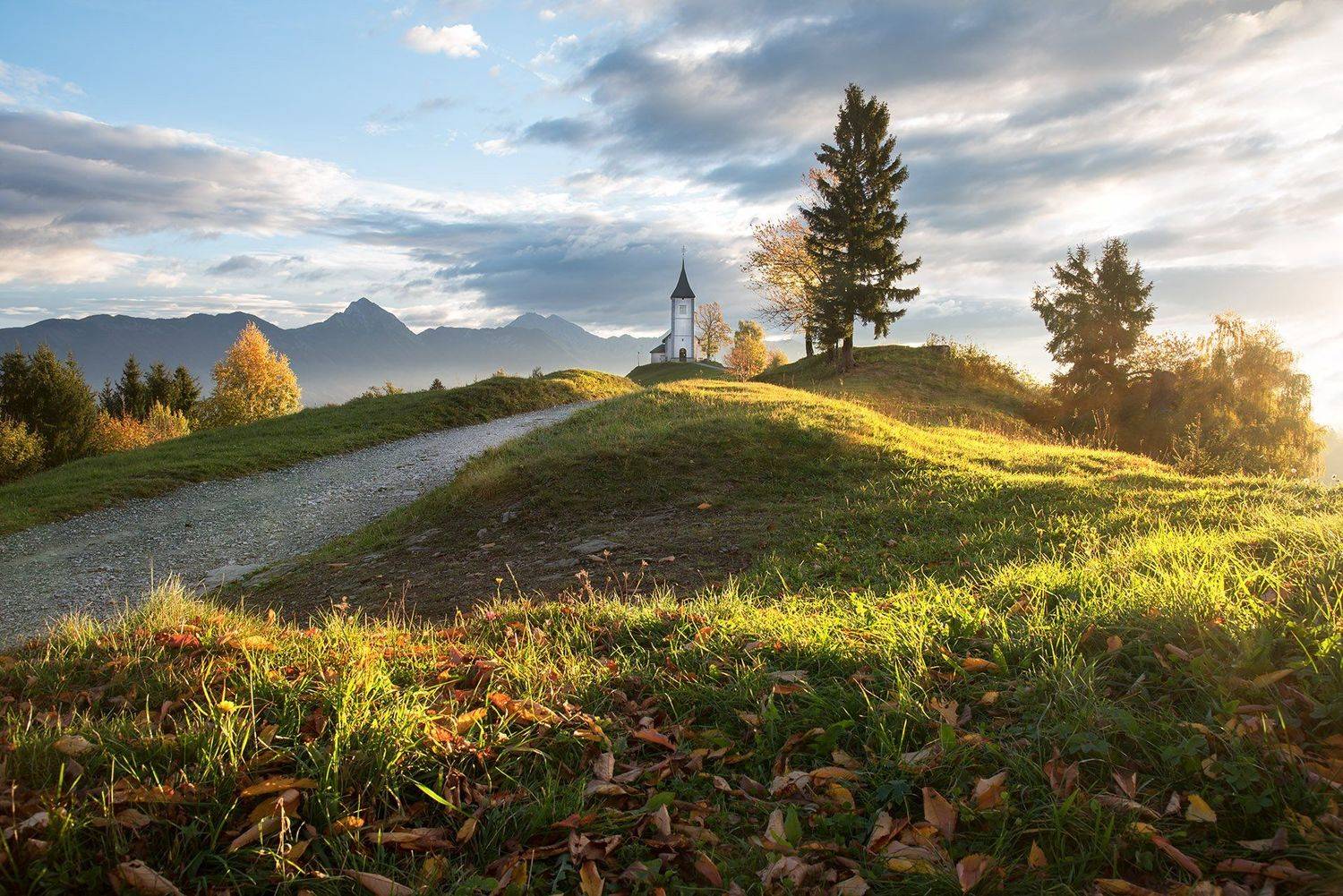 , Albena Andonova-Asa