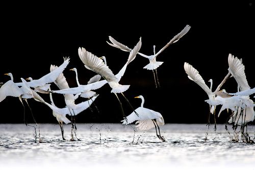 Ballet