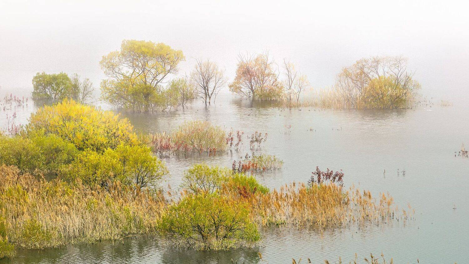 Fall into the lake. Автор: suk eun kim , suk eun kim