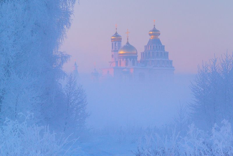 Под покровом снежным. фото превью