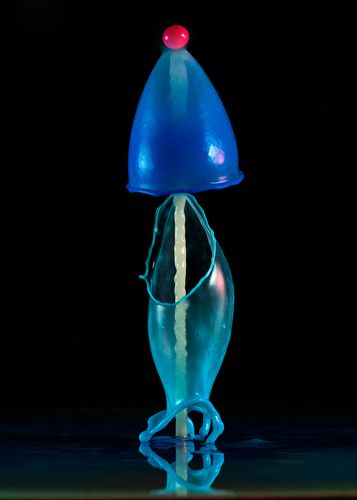 blue calamary