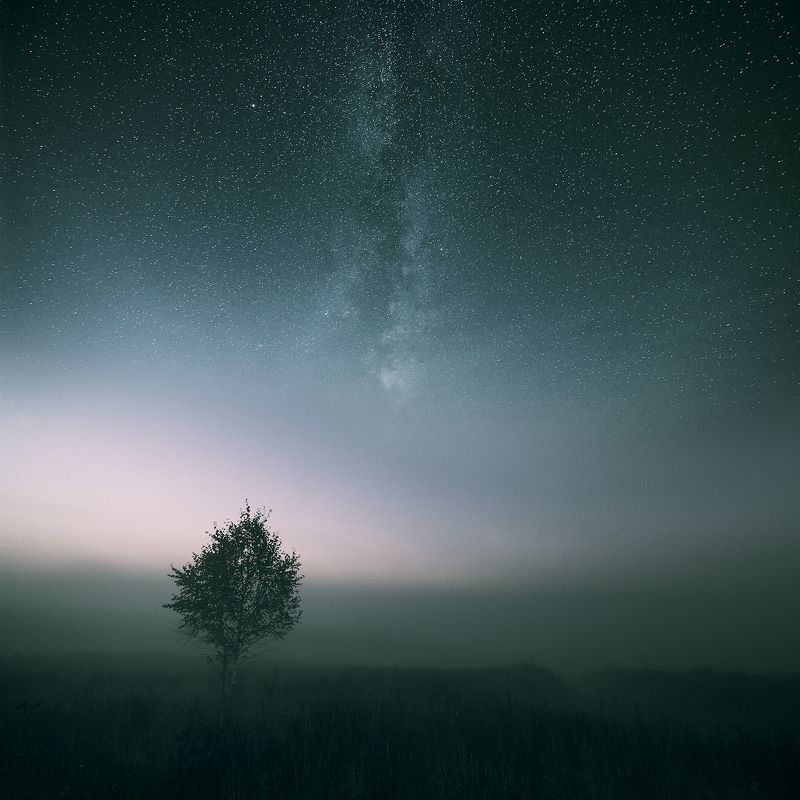 Serenity фото превью