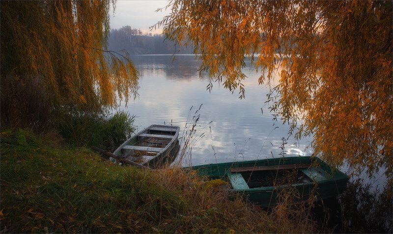 Тетерев осенний  фото превью