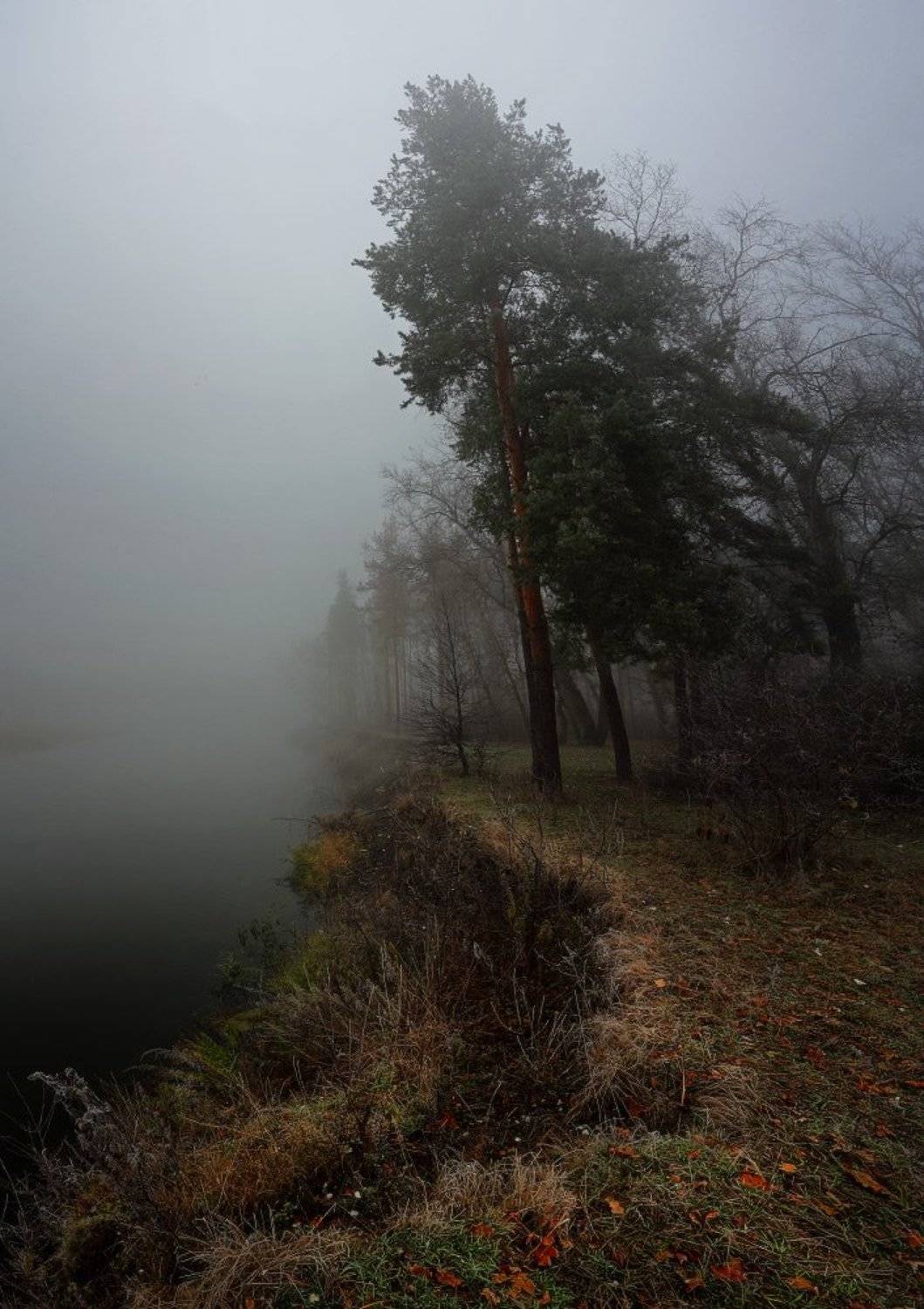 осень утро туман река ноябрь, Петриченко Валерий