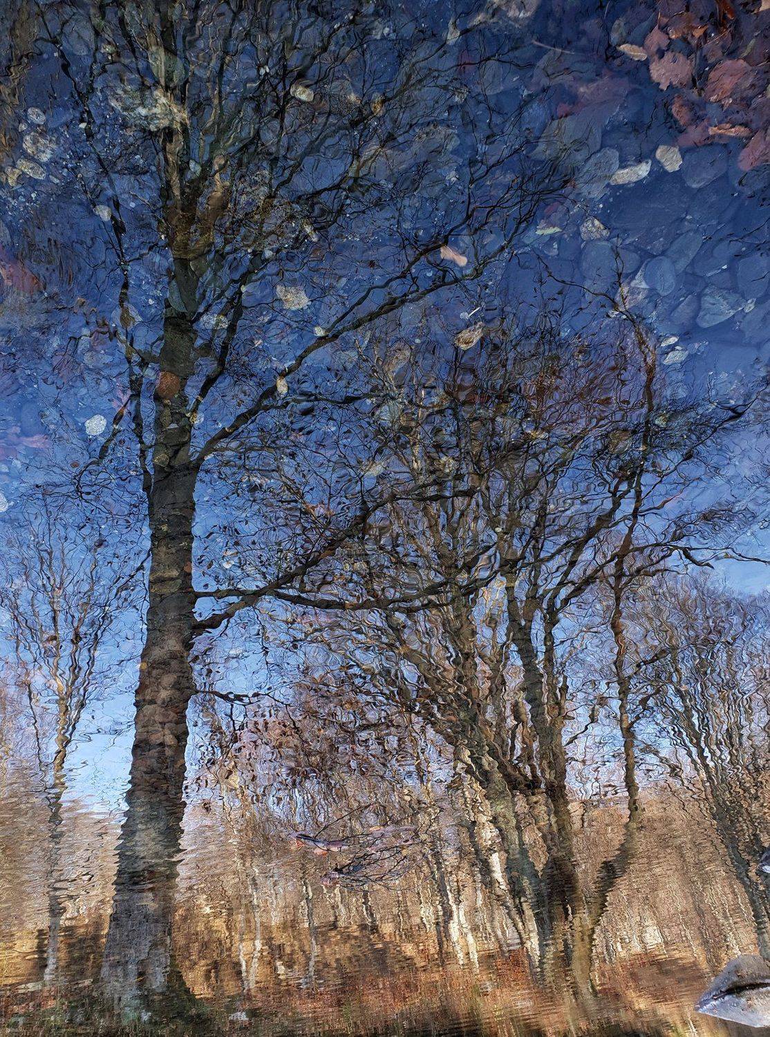 , Деян Косев