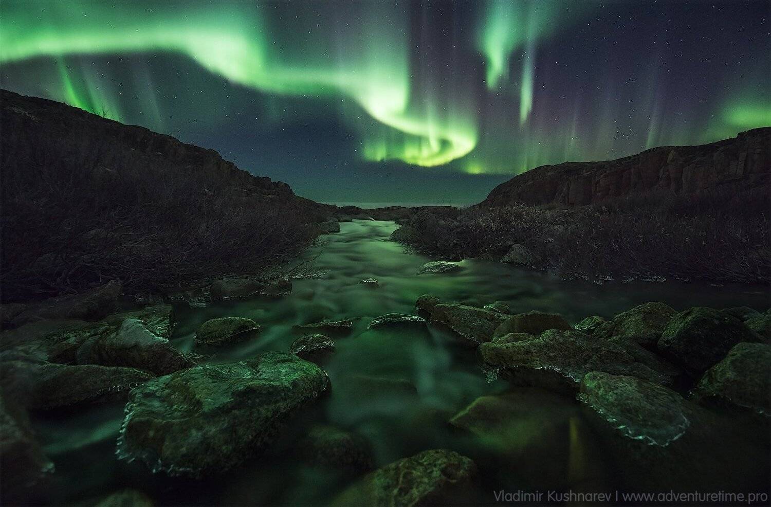 , Vladimir Kushnarev