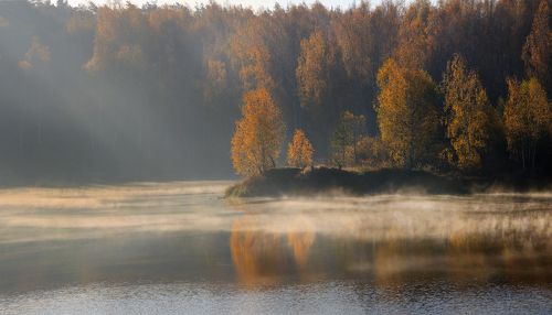 Осеннее утро.
