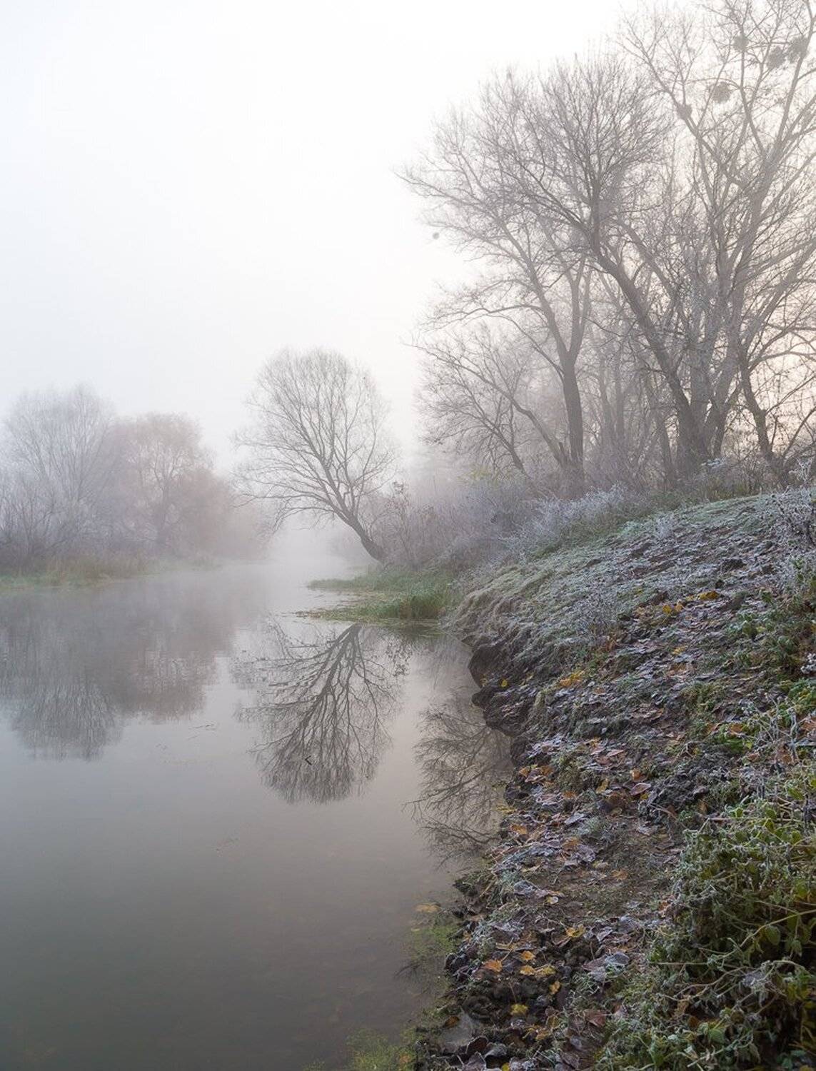 , Александр Подрез