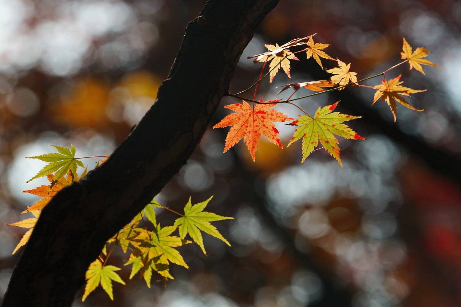 time, goes....., Inkol Yu  유인걸