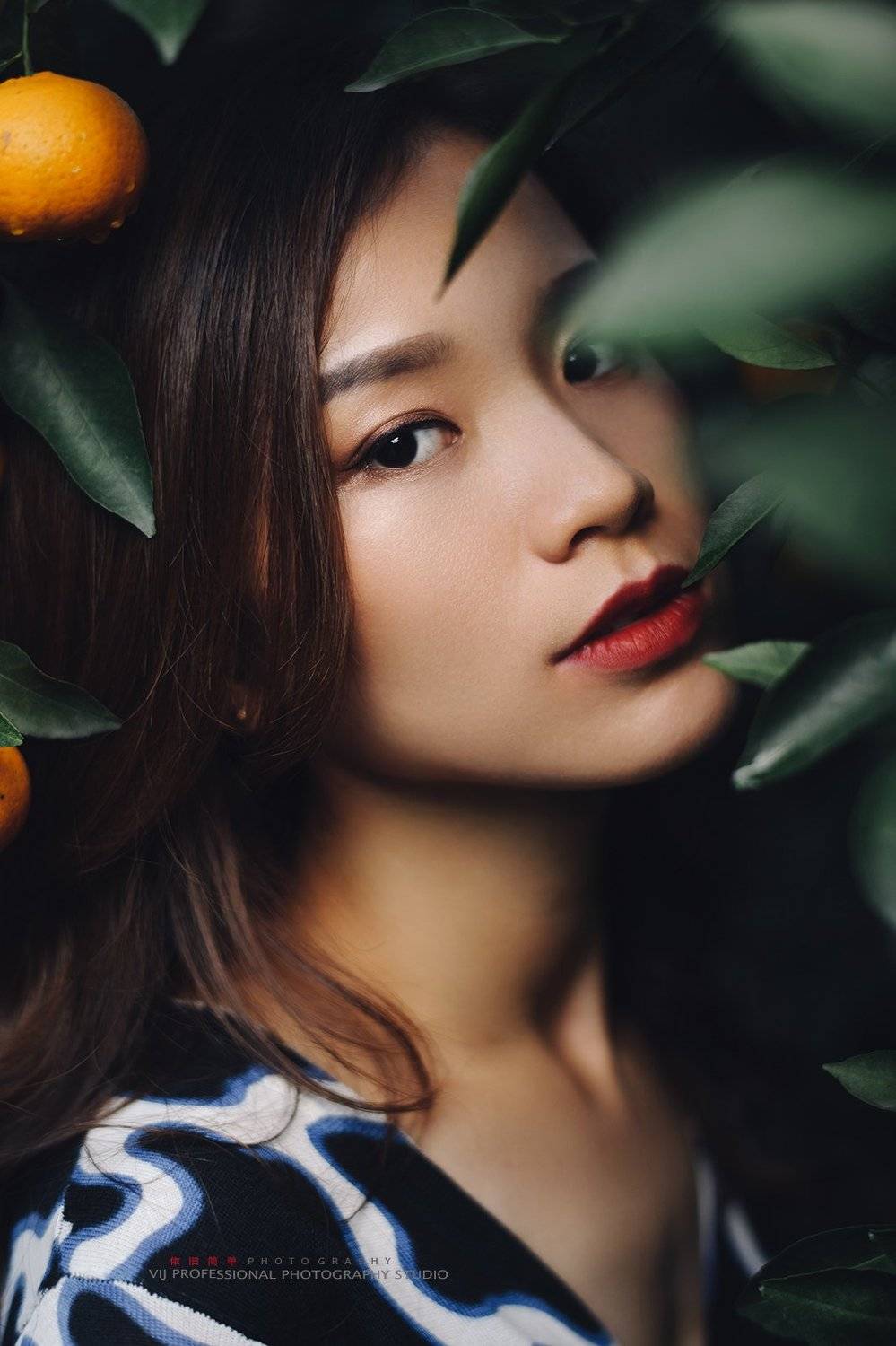 , vijstudio