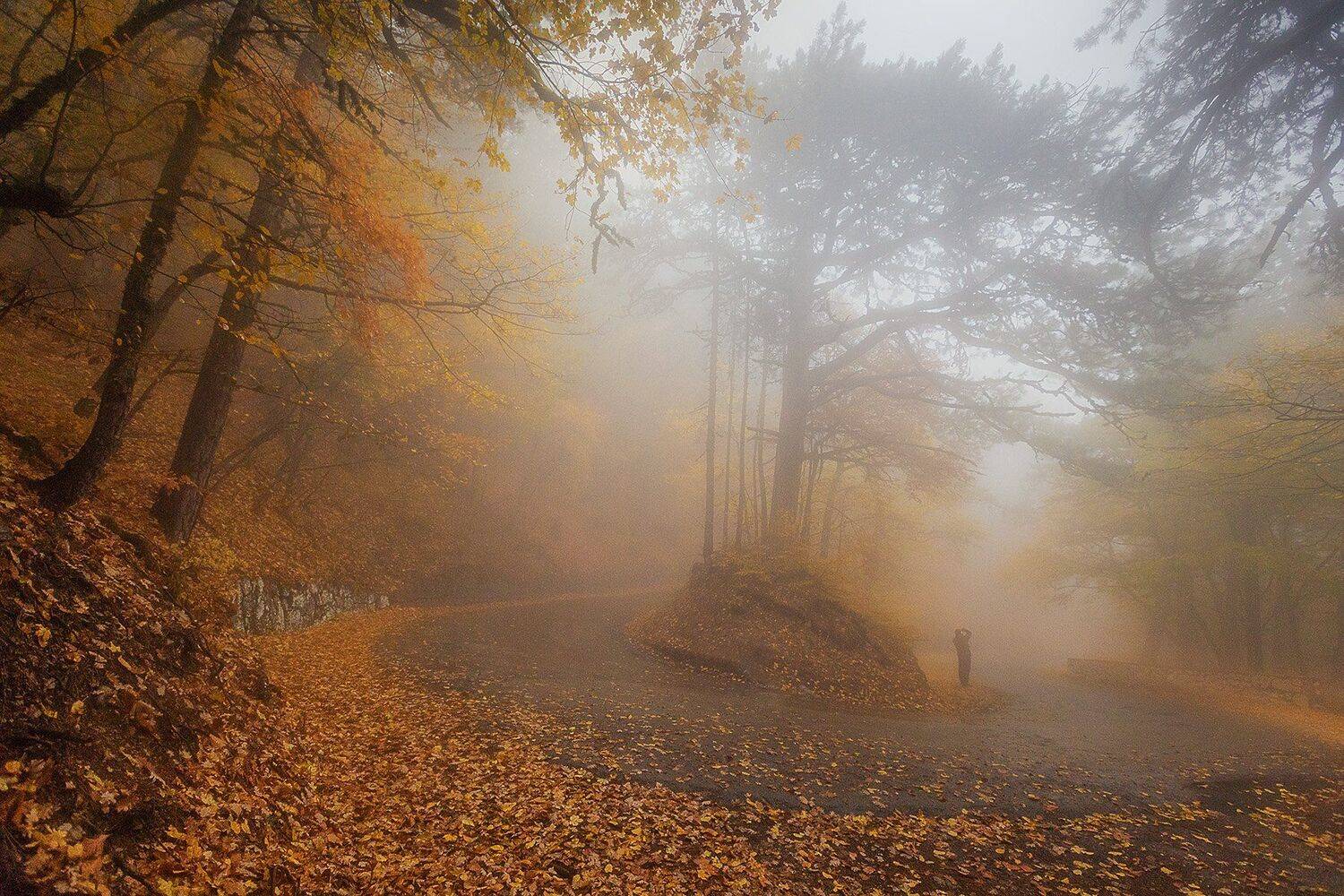 , Александр Костенко