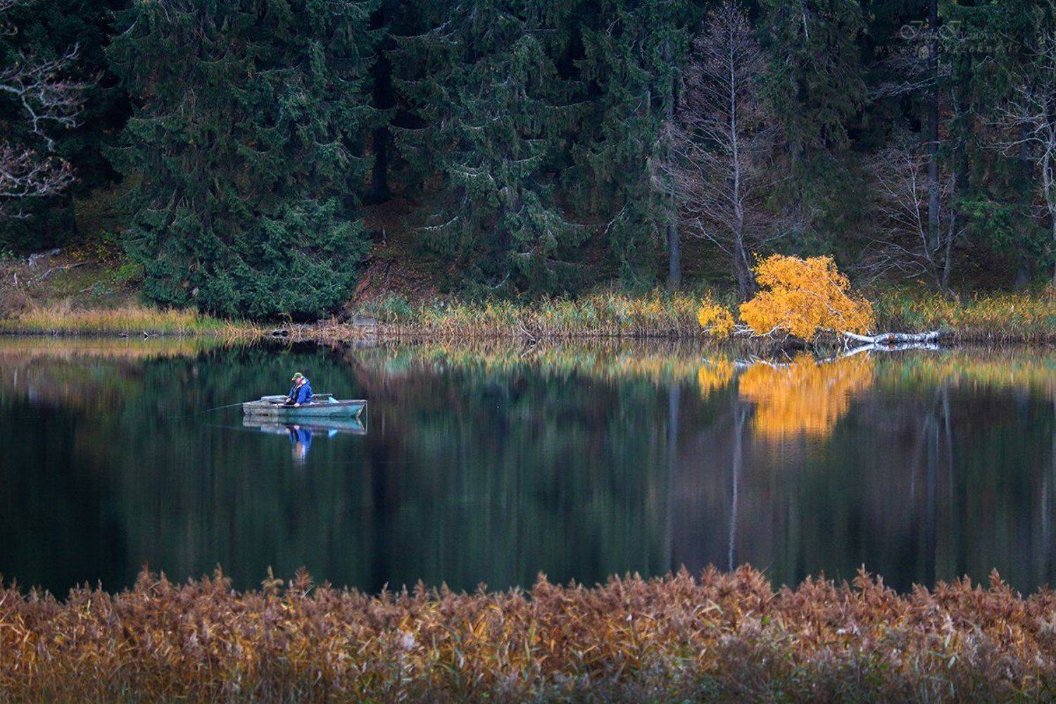 в тихом одиночестве, Инга Иванова