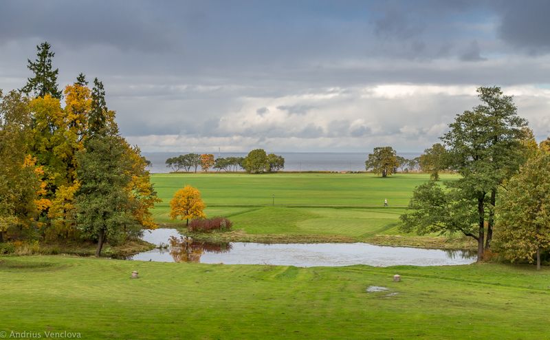 Open Space фото превью