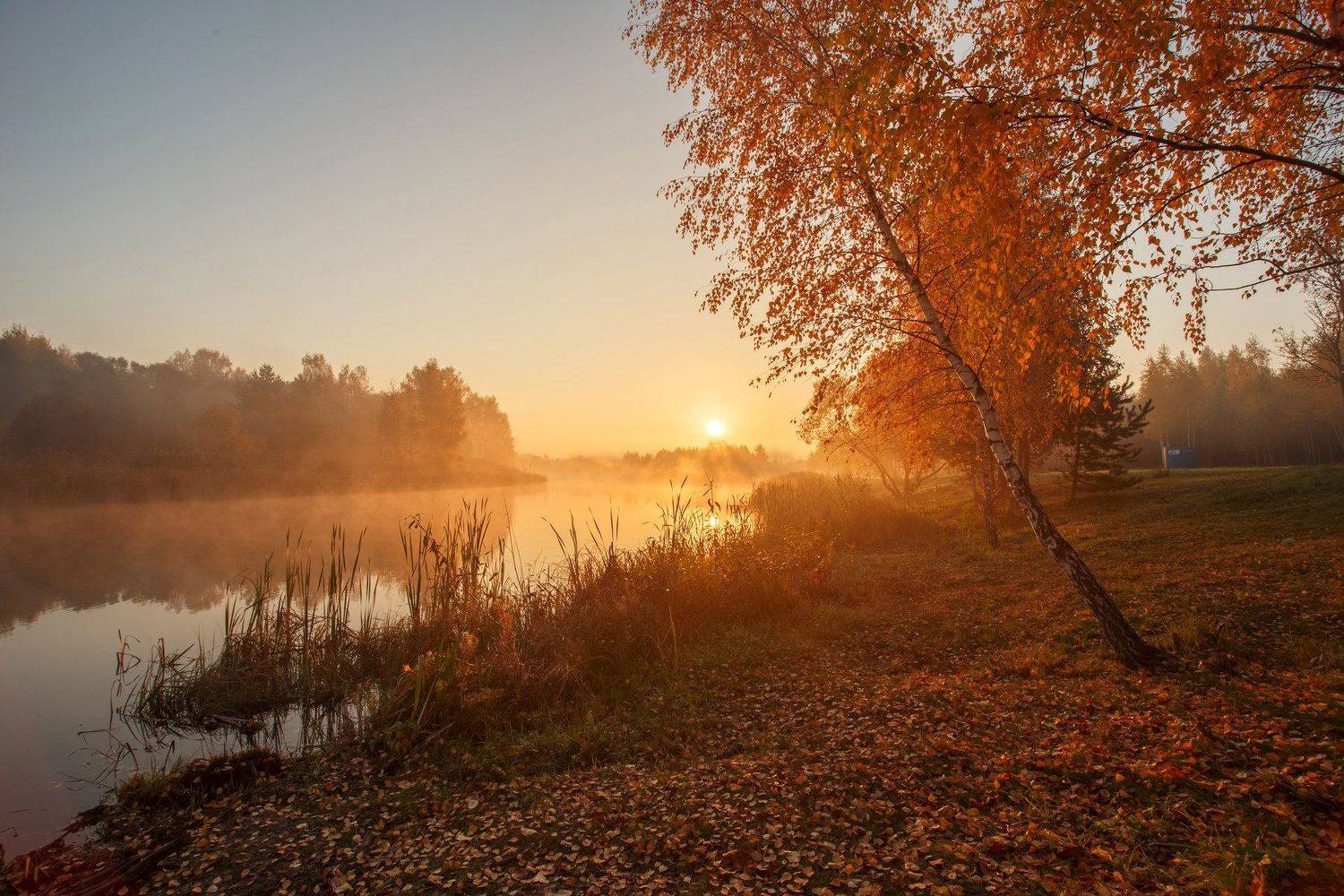 утро, рассвет, лучи, криница, туман, лес, озеро, минск, беларусь, Andrey Kozlov