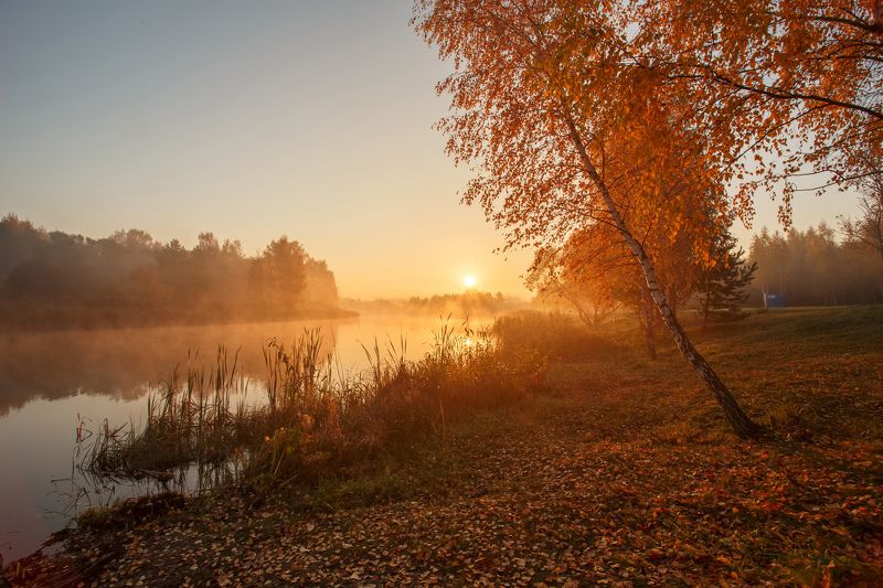 утро, рассвет, лучи, криница, туман, лес, озеро, минск, беларусь С первыми лучами солнца фото превью