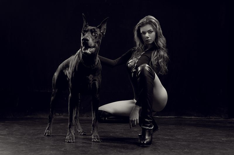portrait, 35mm, girl, beauty, retouch, posing, model, studio, photography, fitness, lingerie, sexy, sigma, sony, a7iii, a7m3, art, light, hair, bazarov, glamour, fashionable, elegant, fashion, style, pretty, doberman, awesome, dog Doberman project фото превью