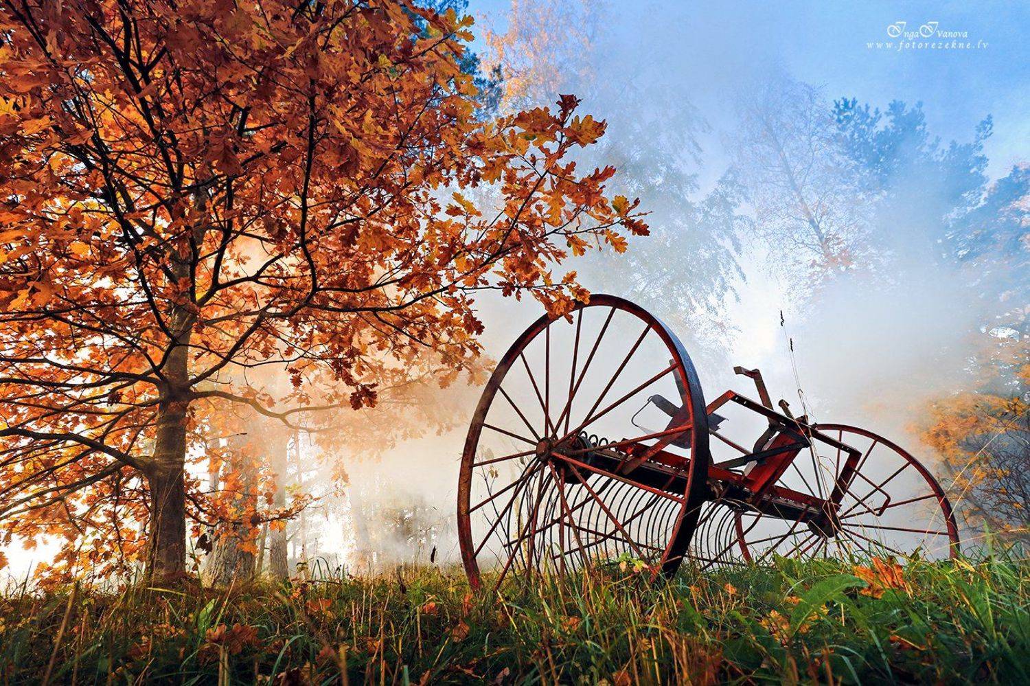 грабилка, Инга Иванова