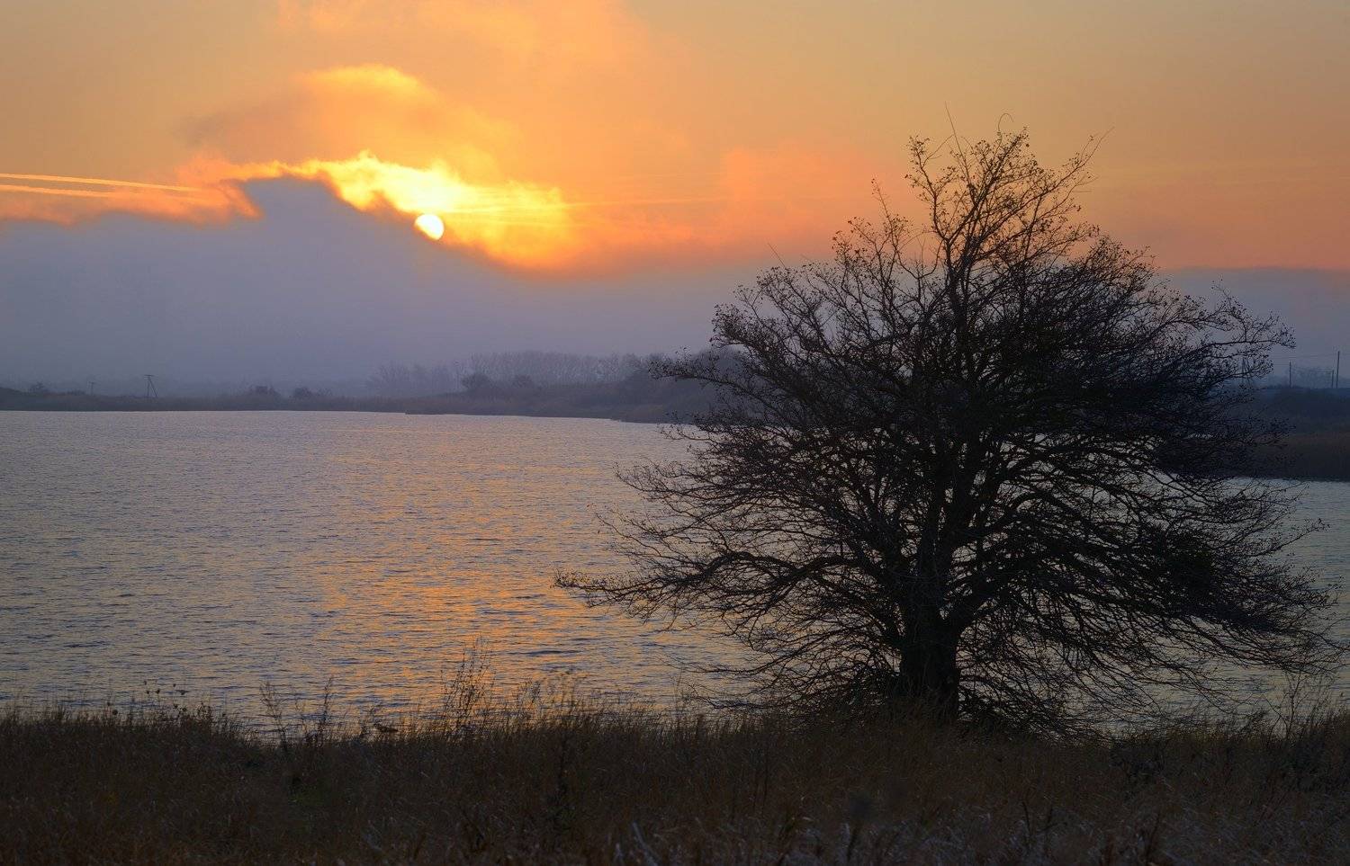осень рассвет дерево озеро, Александр Жарников