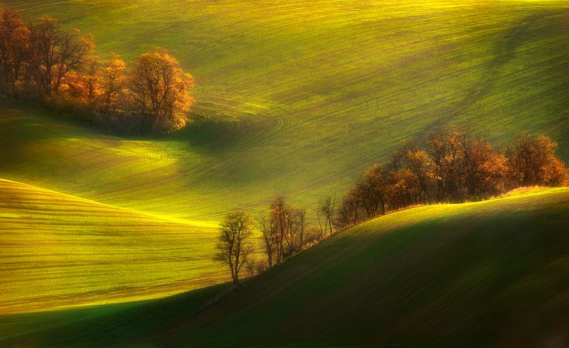 Autumn in Moravia фото превью