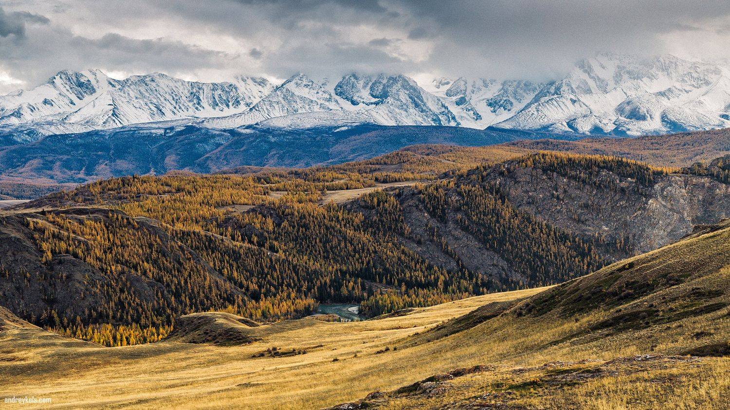 , Андрей Кельс