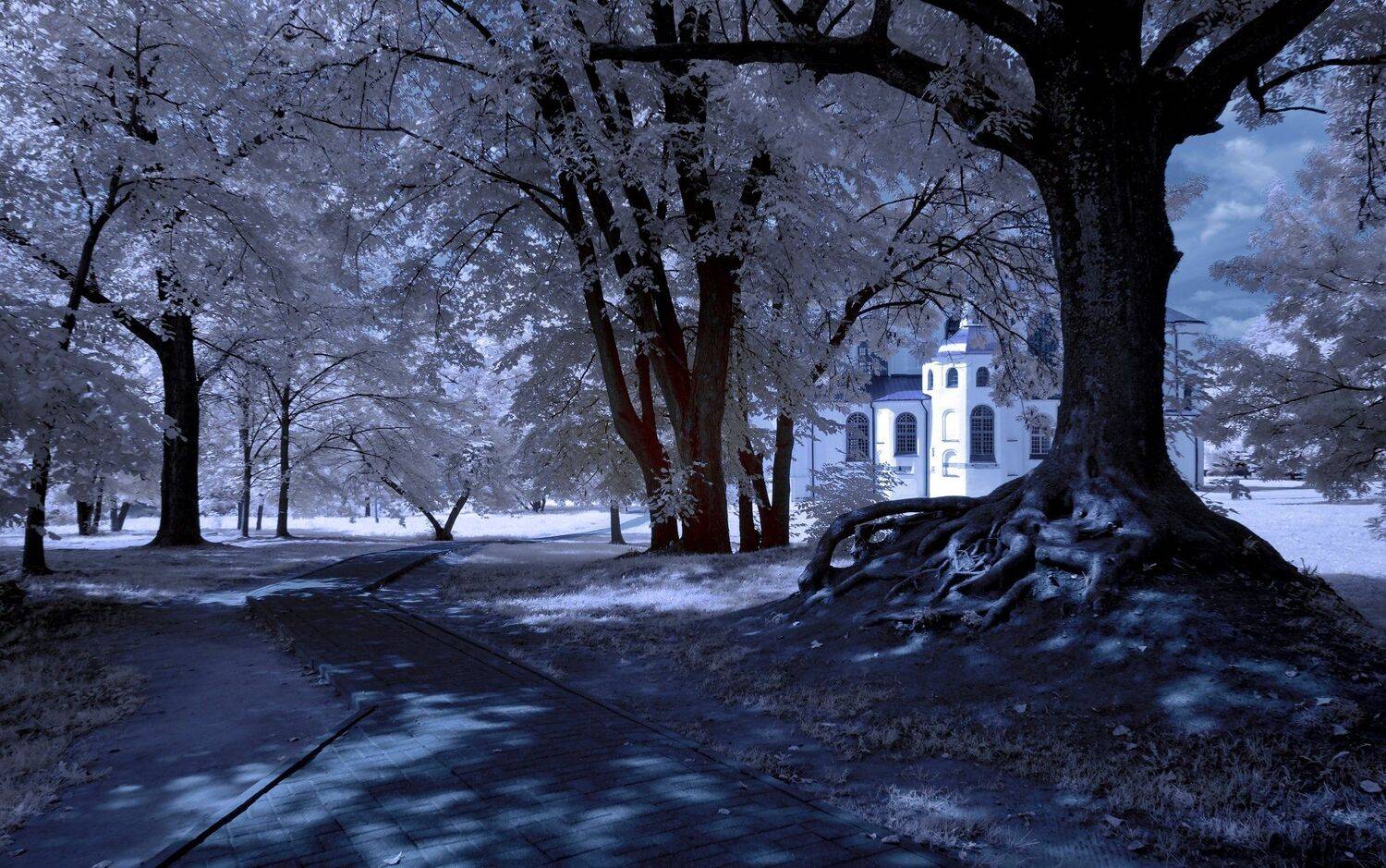 infrared,ик-фото,инфракрасное фото,инфракрасная фотография,пейзаж,беларусь,лето, Sixten ( Сергей )