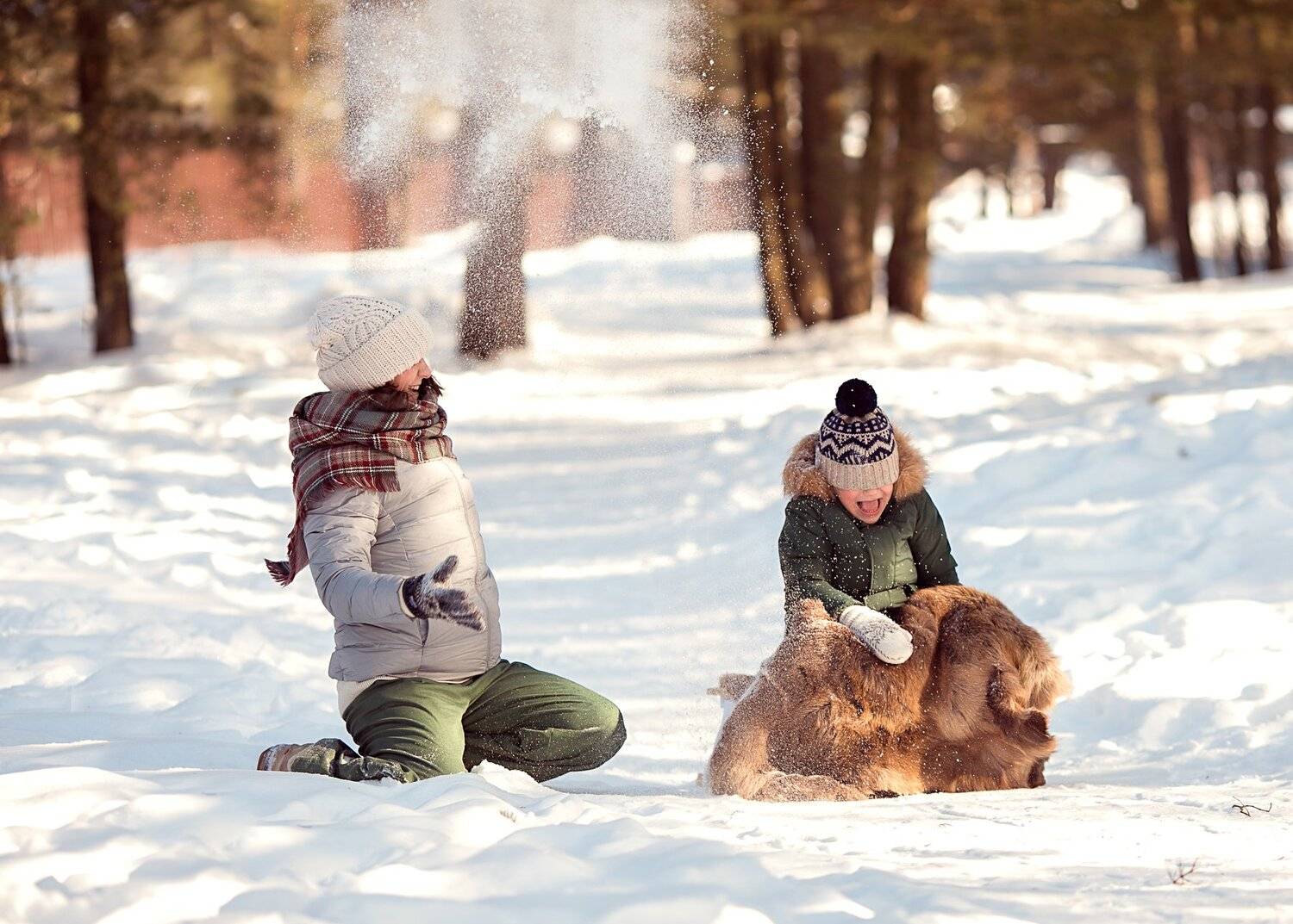, Димант Анна