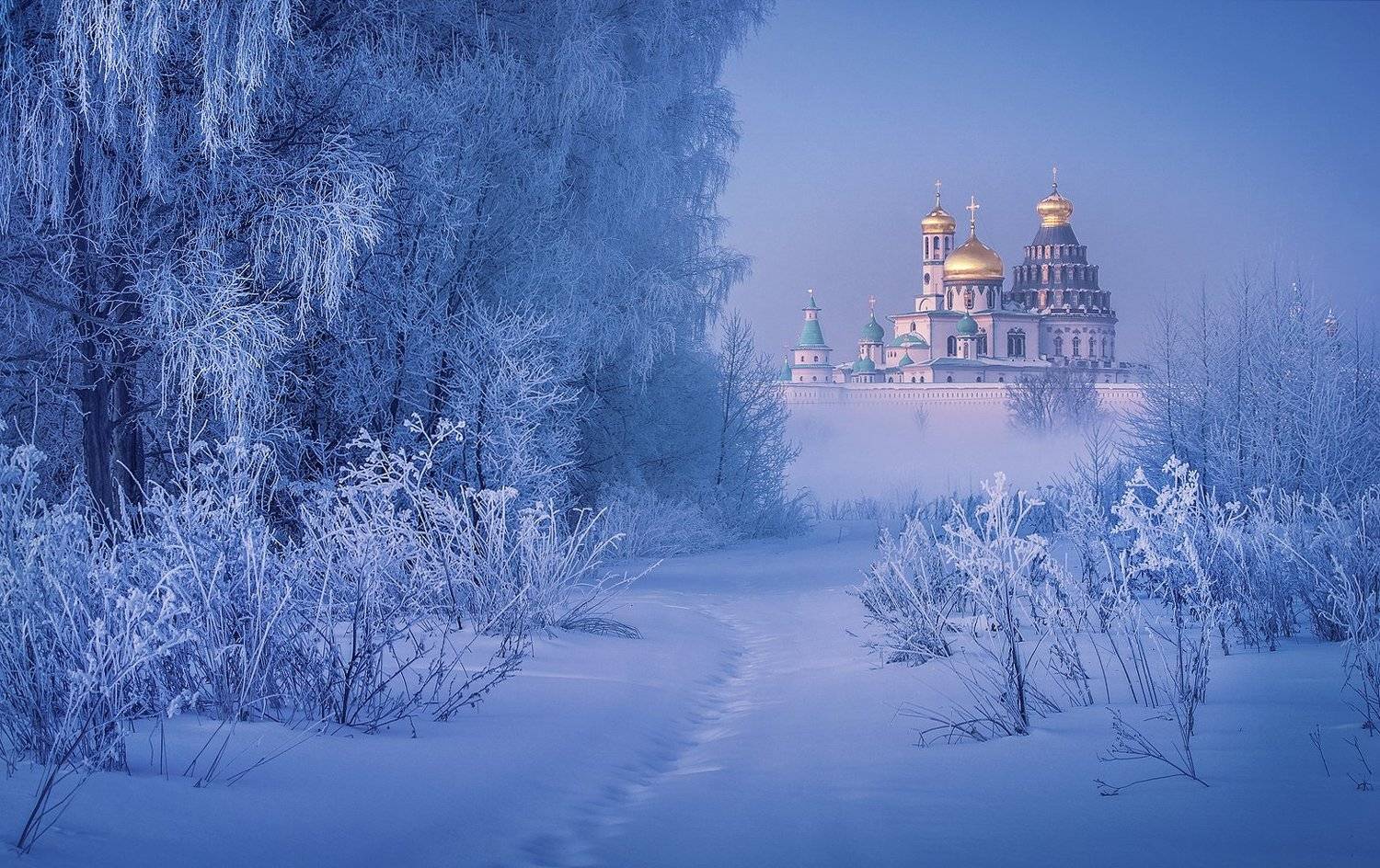 , Сергей Давыдов