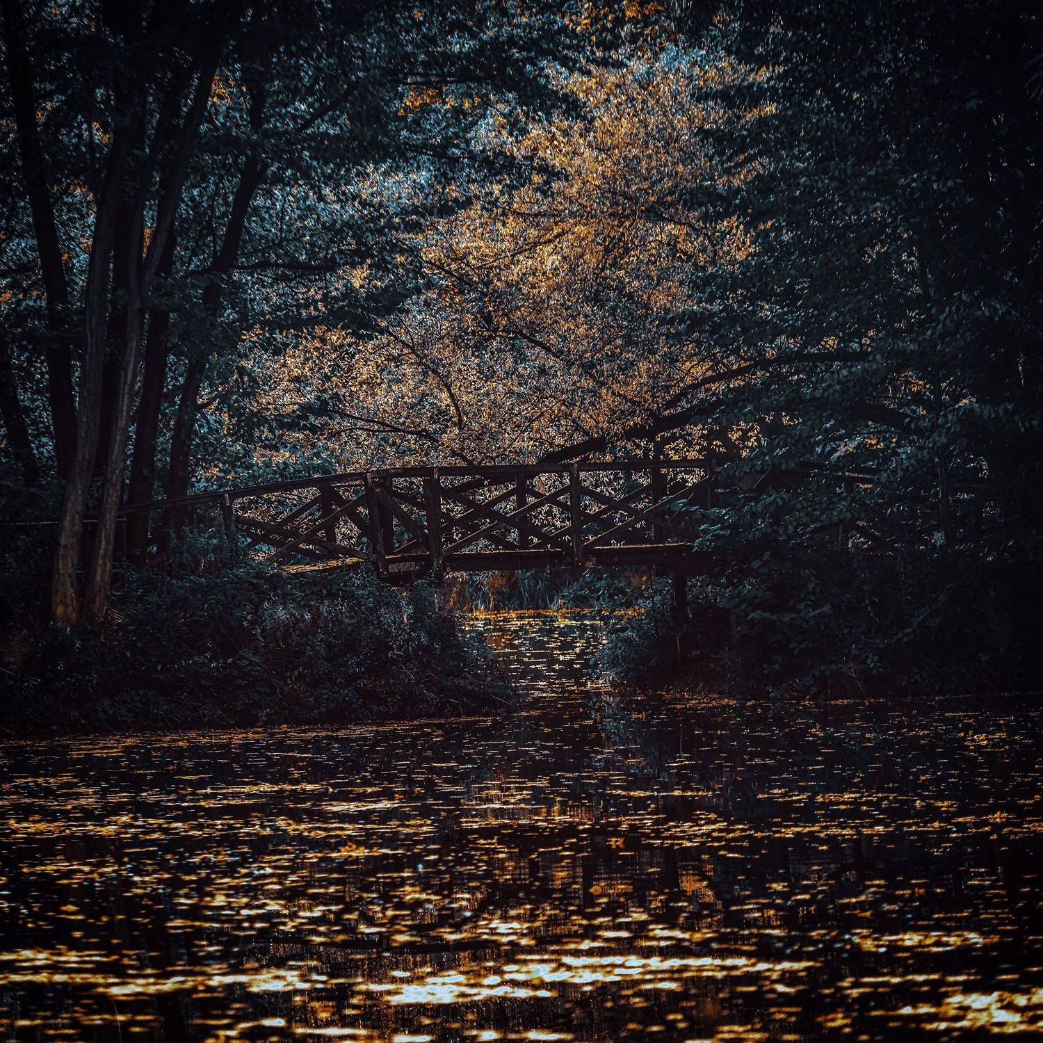 , Piotr Ryba Rybicki