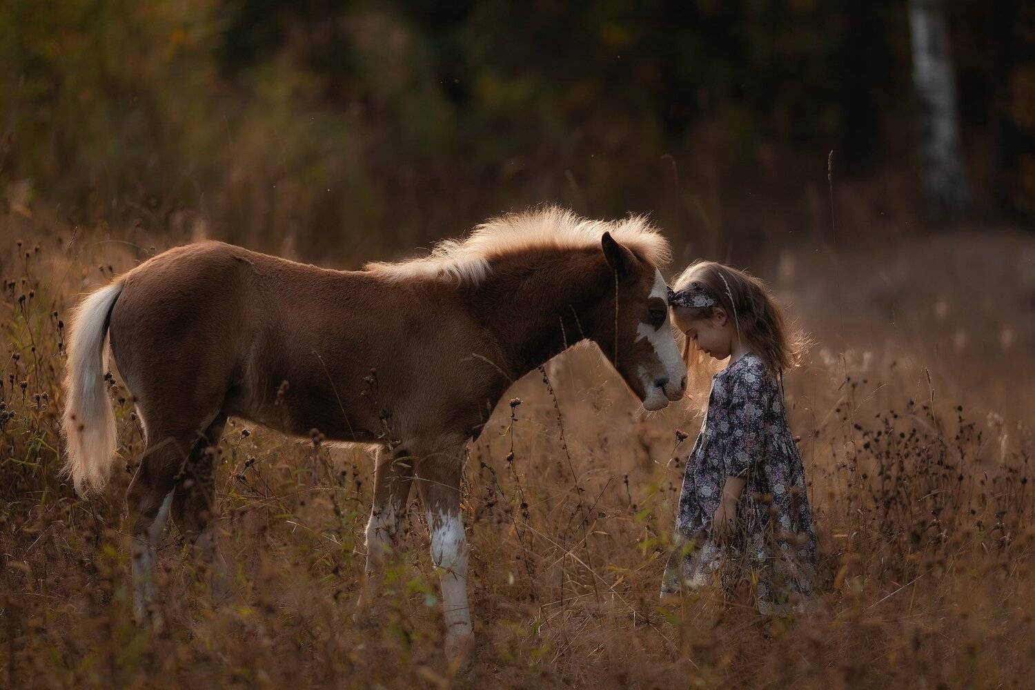 , Юлия Соболева